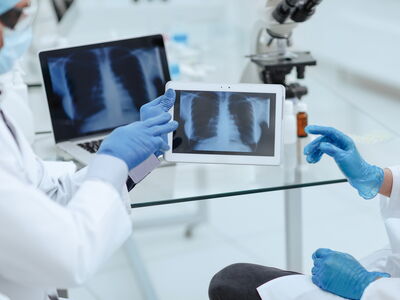 © yurolaitsalbert - stock.adobe.com